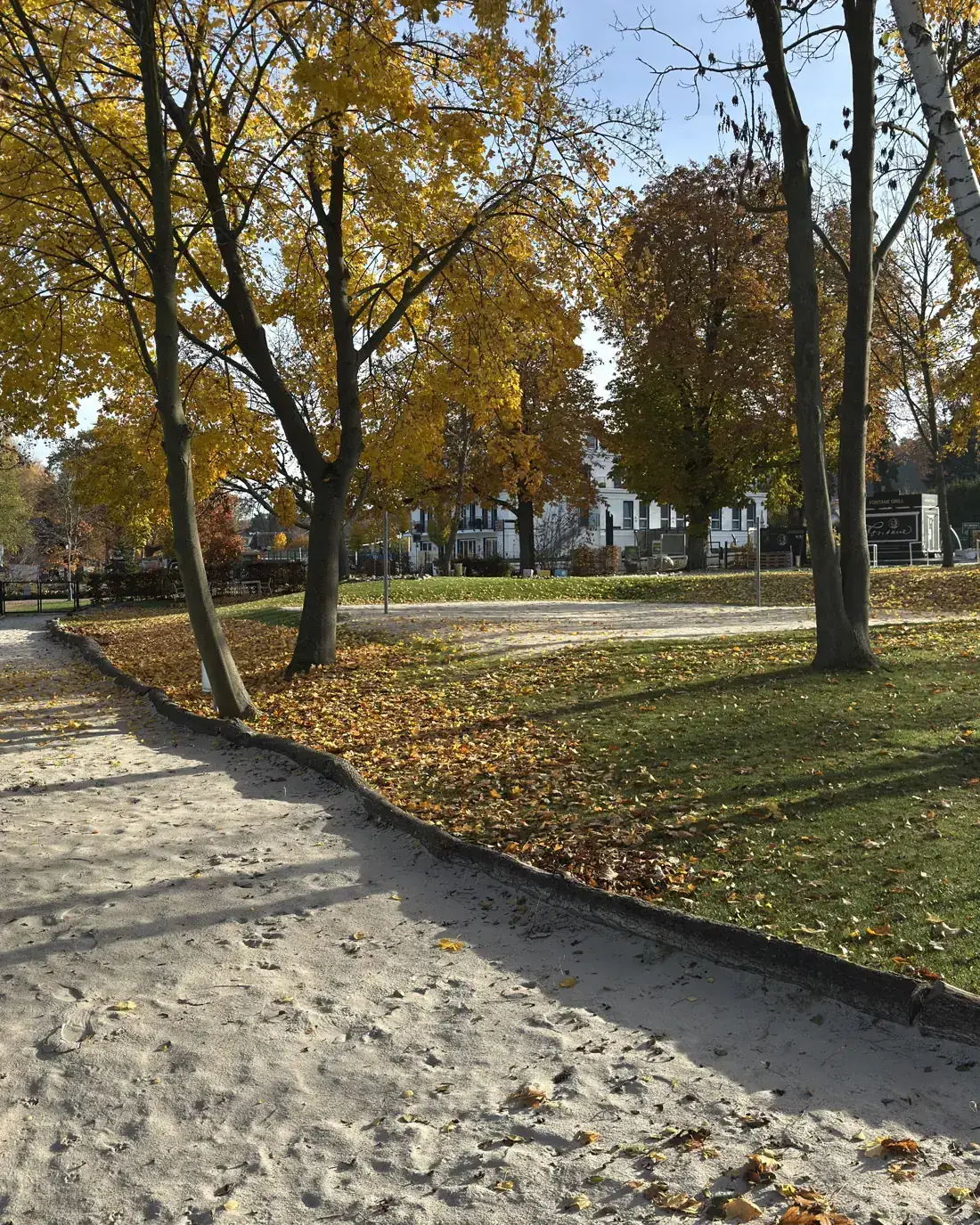 Shore path on the Werbellinsee in autumn