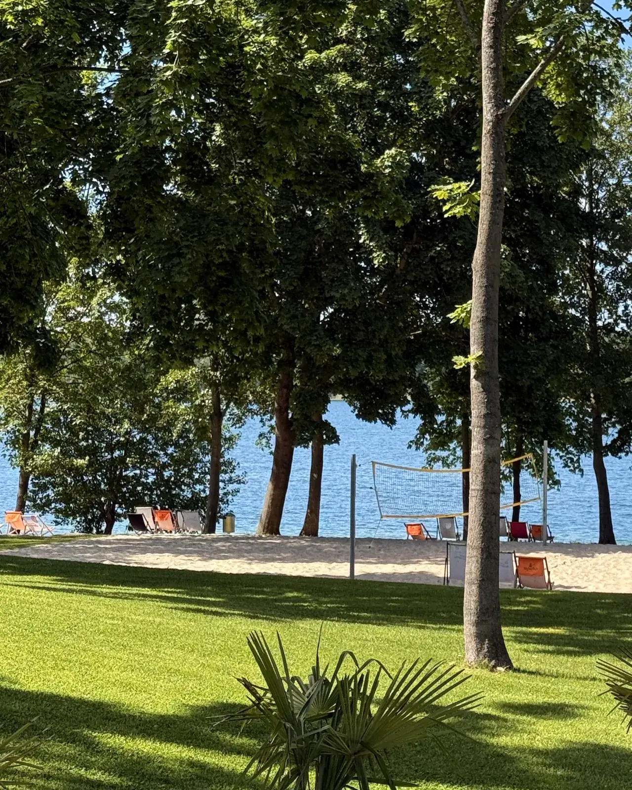 Liegewiese im Sommer mit Liegestühlen, Palmen und Blick auf den Werbellinsee