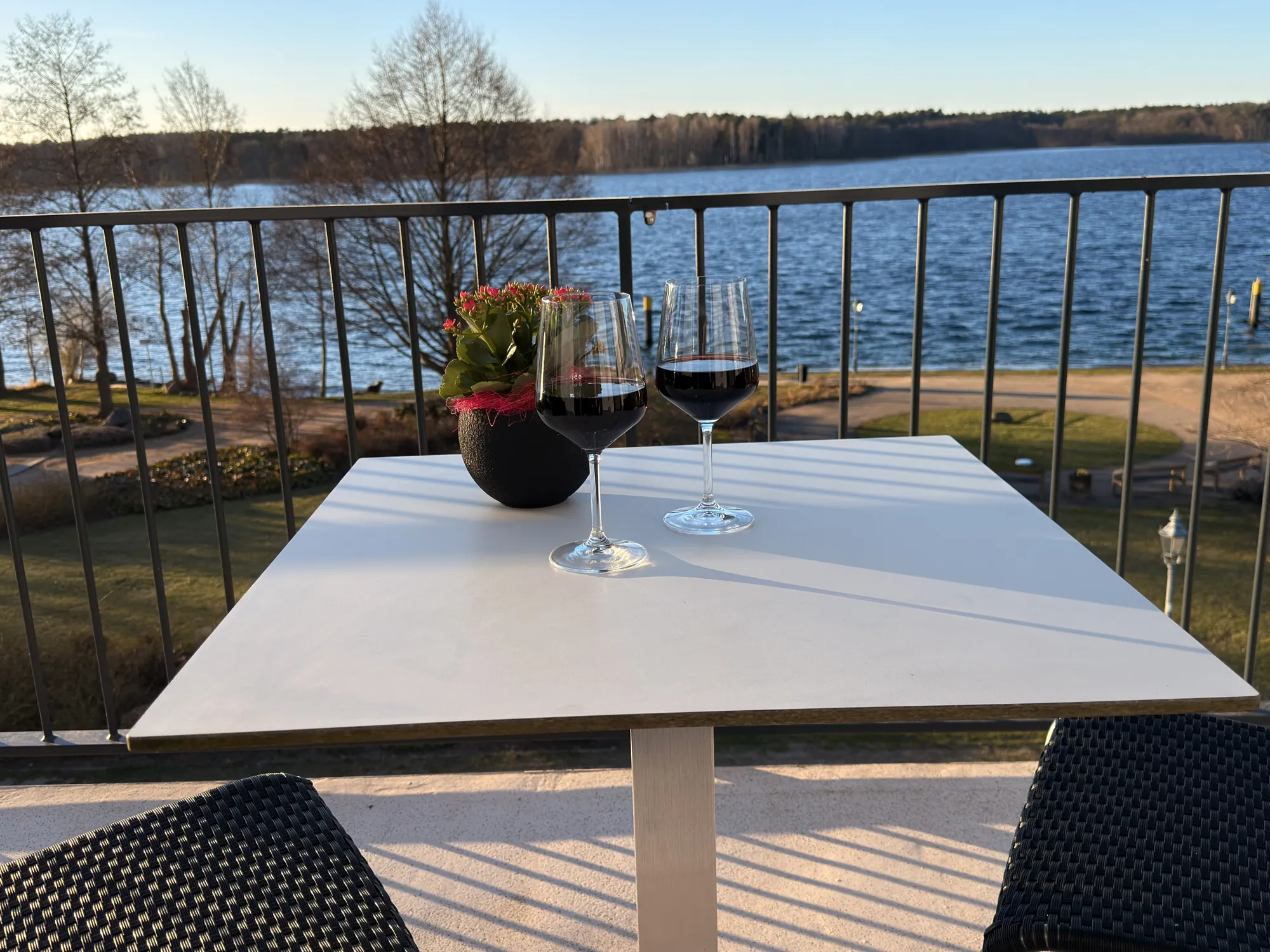 A glass of wine on the Theodors terrace table, behind it the Werbellinsee