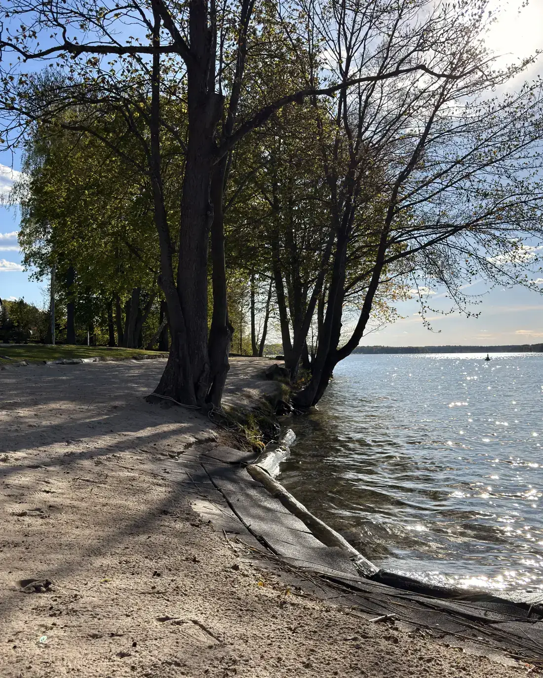 Uferweg am Werbellinsee
