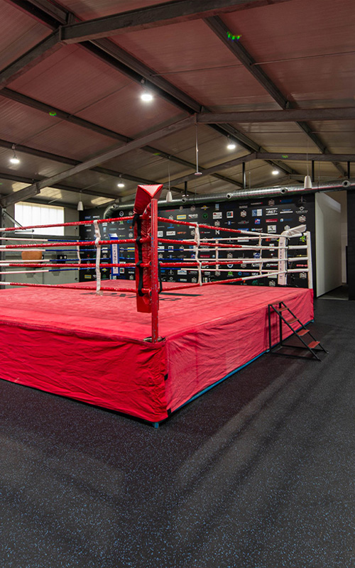 Boxclub-Kennenlernwochenende Boxclub-Kennenlernwochenende