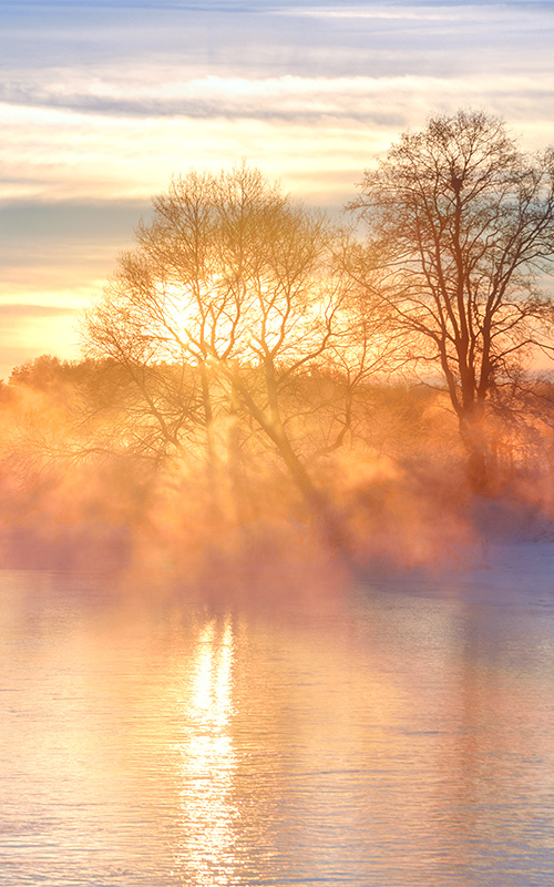 Winterzauber-am-Werbellinsee Winterzauber-am-Werbellinsee